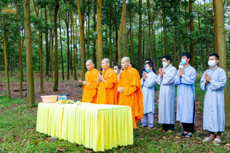 Sau khi thả các con vật về với môi trường tự nhiên, chư Tăng hồi hướng công đức phước lành cho Phật tử tham dự buổi lễ tùy theo phước báu của mình mà được sở cầu như ý