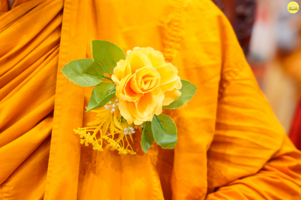 Hoa hồng vàng trên màu áo huỳnh y của chư Tăng chính là sự tiếp nối bản hoài của Chư Phật  