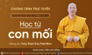 'Học từ con mối' - câu 208 Kinh Mi Tiên Vấn Đáp | Thầy Thích Trúc Thái Minh