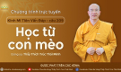 'Học từ con mèo' - câu 209 Kinh Mi Tiên Vấn Đáp | Thầy Thích Trúc Thái Minh