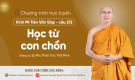 'Học từ con chồn' - Câu 212 Kinh Mi Tiên Vấn Đáp | Thầy Thích Trúc Thái Minh