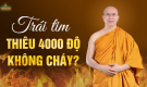 Trái tim thiêu 4000 độ không cháy của Hòa thượng Thích Quảng Đức và sự nhiệm màu của Phật Pháp