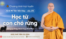 'Học từ con chó rừng' - câu 213 Kinh Mi Tiên Vấn Đáp | Thầy Thích Trúc Thái Minh