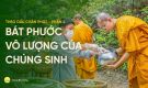 Bát phước vô lượng của chúng sinh | Theo dấu chân Phật