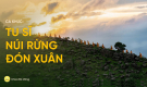 Bài hát: Tu sĩ núi rừng đón xuân | Nhạc Phật giáo Chùa Ba Vàng