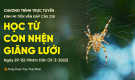 'Học từ con nhện giăng lưới' - câu 228 Kinh Mi Tiên Vấn Đáp