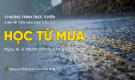 'Học từ mưa' - câu 233 Kinh Mi Tiên Vấn Đáp | Thầy Thích Trúc Thái Minh