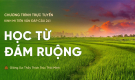 'Học từ đám ruộng' - câu 241 Kinh Mi Tiên Vấn Đáp | Thầy Thích Trúc Thái Minh