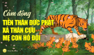 Cảm động tiền thân Đức Phật xả thân cứu mẹ con hổ đói