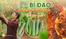 [Video] Làm trà bí đao cùng các Phật tử tại chùa Ba Vàng
