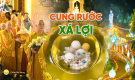 [Video] Hướng tới kỷ niệm ngày Đức Phật nhập Niết bàn - Hình ảnh chư Tăng Ni, Phật tử các tỉnh rước Xá lợi