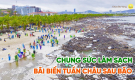 Chung sức làm sạch bãi biển Tuần Châu sau bão Yagi