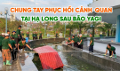 Phật tử chùa Ba Vàng chung tay phục hồi cảnh quan Hạ Long sau bão