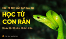 Học từ con rắn | Kinh Mi Tiên Vấn Đáp câu 226 | Thầy Thích Trúc Thái Minh