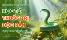 [Video] 'Học từ thuốc trị độc rắn' - câu 242 Kinh Mi Tiên Vấn Đáp | Thầy Thích Trúc Thái Minh