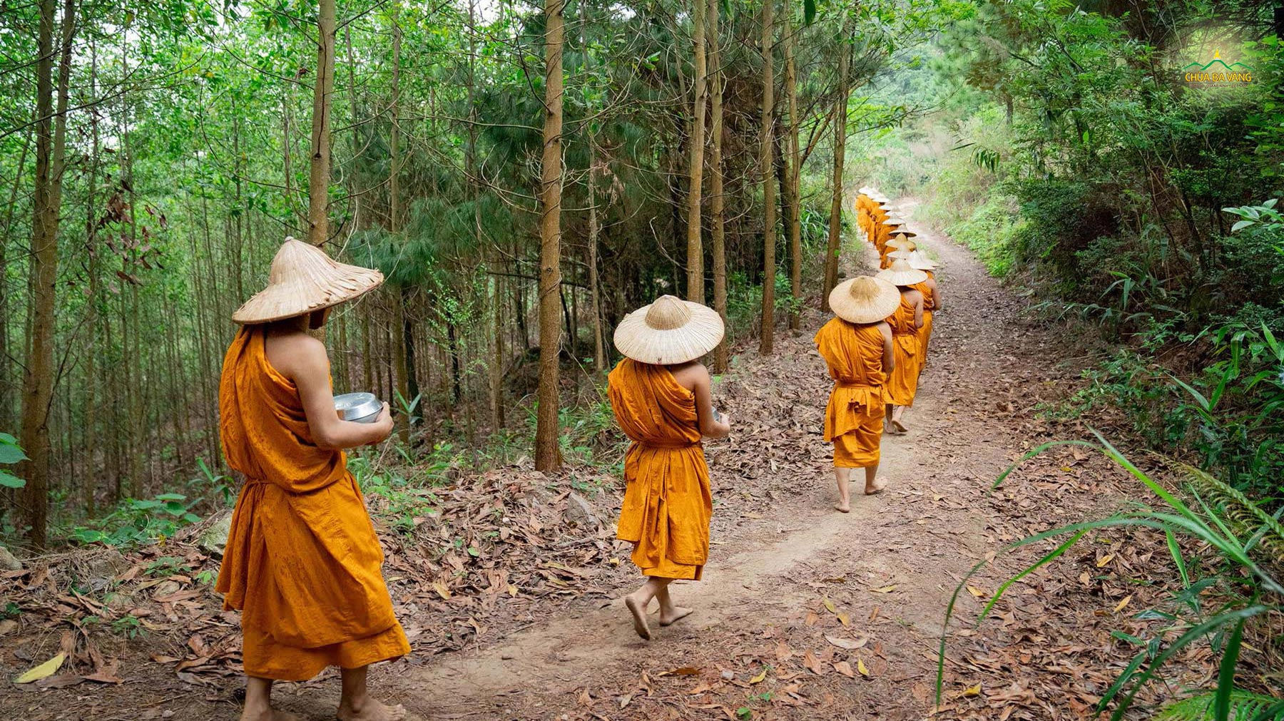 Hình ảnh chư Tăng với những bước chân trần tự tại, tay ôm bình bát khất thực ngày một bữa thật đáng tôn kính