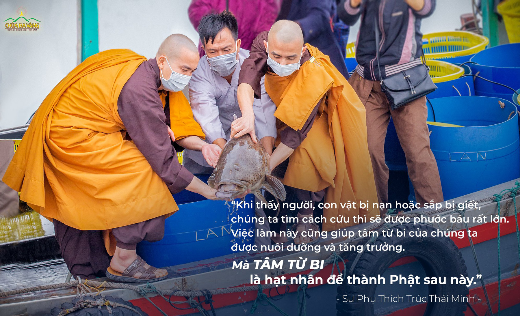 Vâng theo lời chỉ dạy trên Sư Phụ Thích Trúc Thái Minh, Chư Tăng chùa Ba Vàng đã phóng sinh tại biển Hạ Long - Quảng Ninh nhân dịp đầu năm mới
