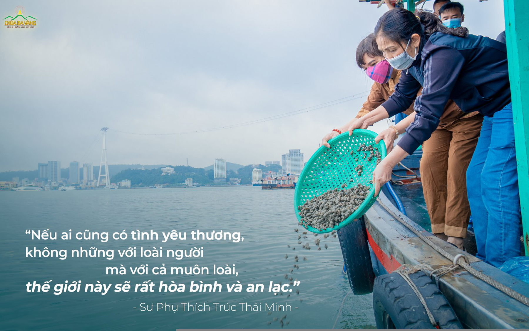 Rất nhiều những con ốc được các Phật tử phóng sinh, thả chúng về biển cả