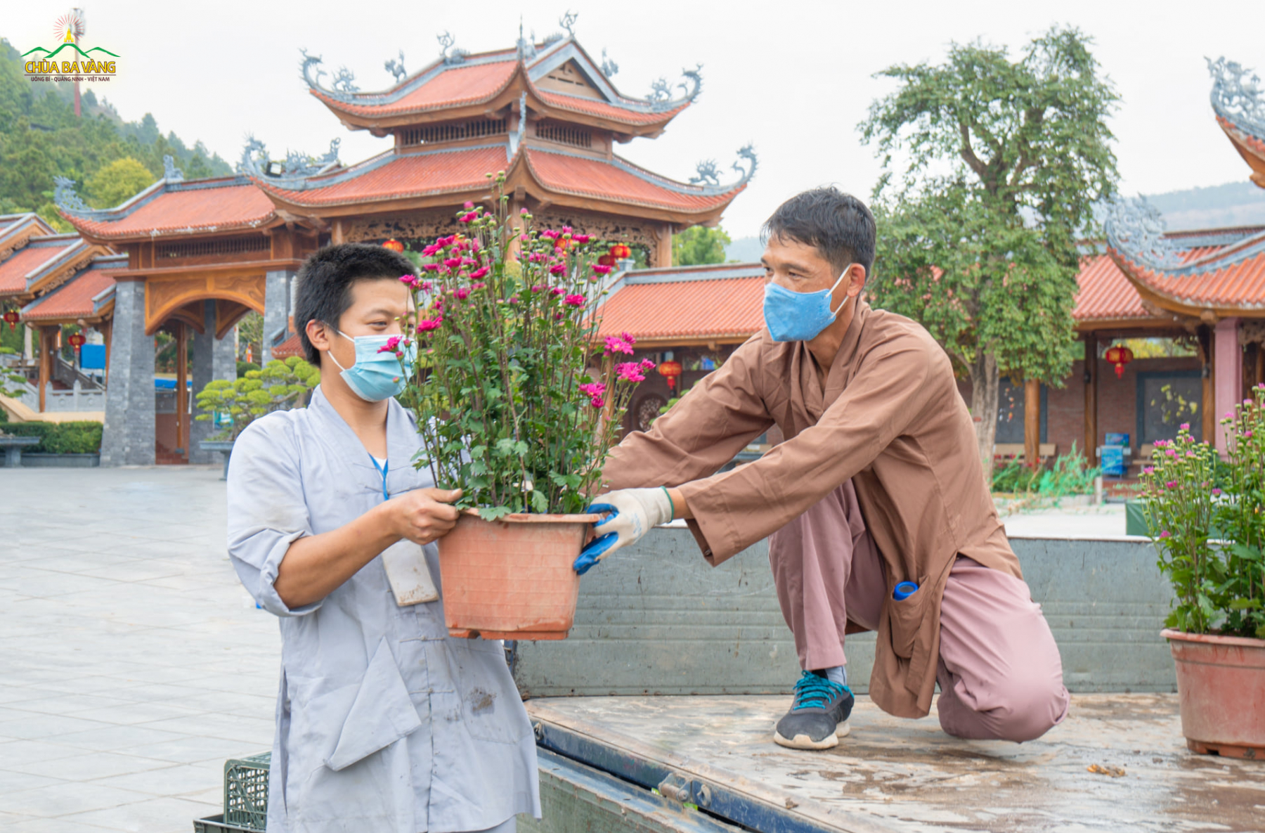Các Phật tử nhanh tay di chuyển những chậu hoa để trang trí tiểu cảnh trên sân chùa
