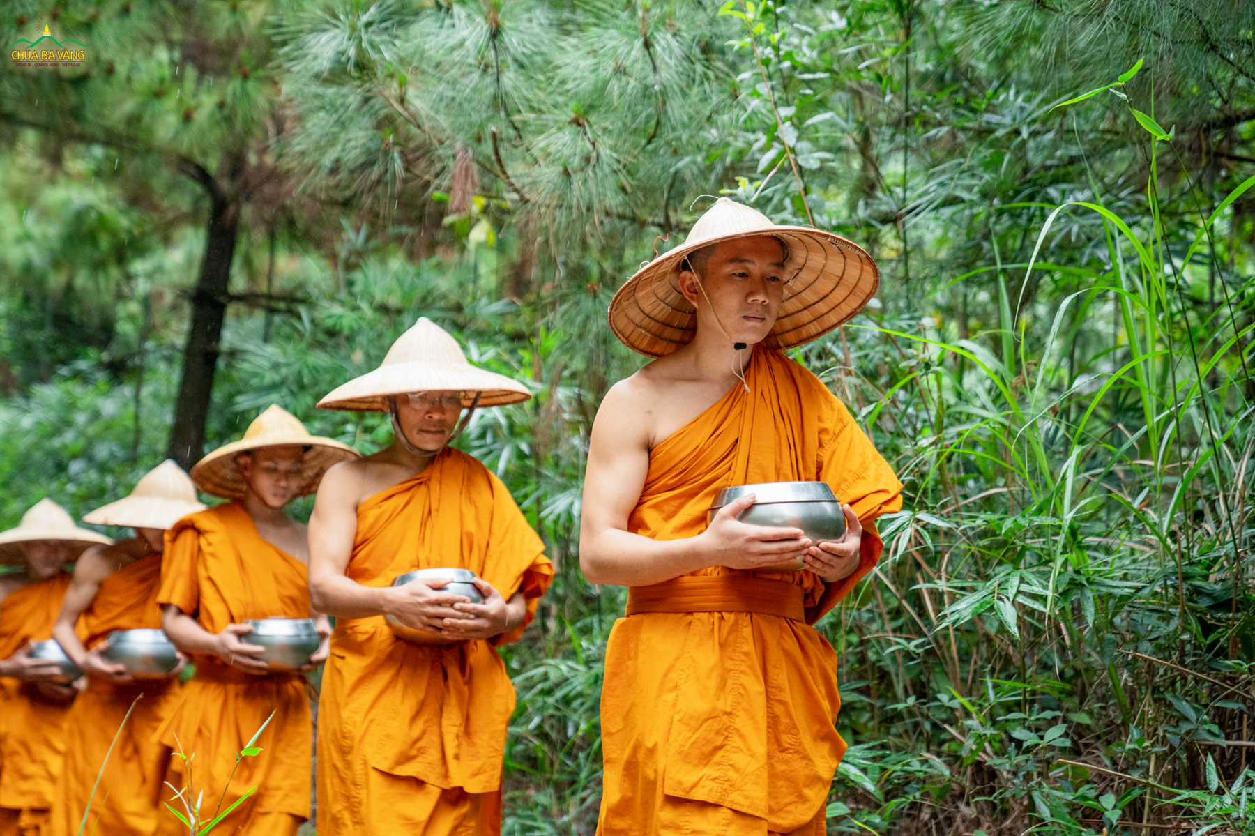 Chư Tăng chùa Ba Vàng thong dong ôm bình bát khất thực trong rừng thiền