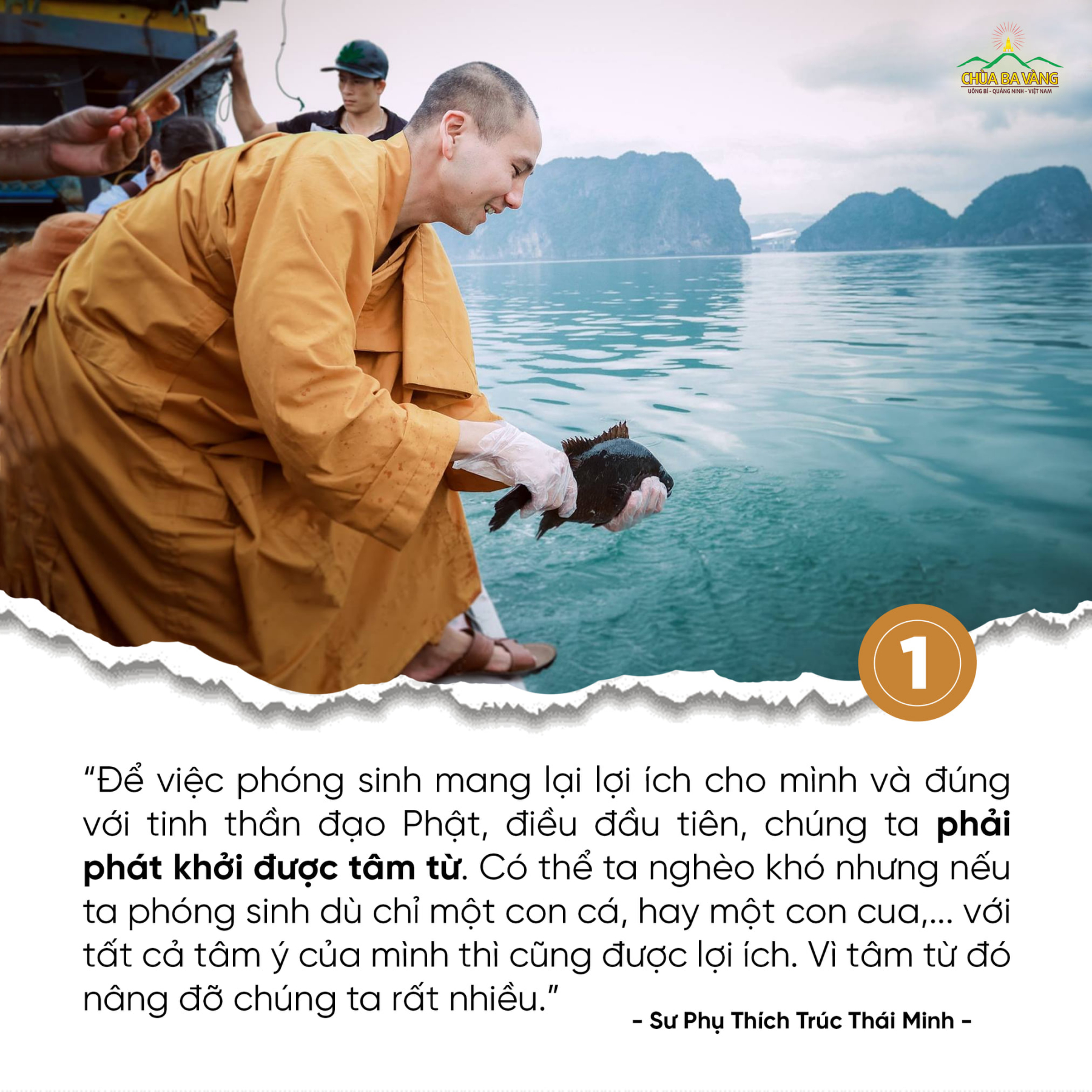 Chư Tăng chùa Ba Vàng phóng sinh cầu quốc thái dân an tại vịnh Hạ Long (năm 2019)