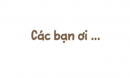 | Xin cảm ơn khóa tu mùa hè |