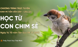 'Học từ con chim sẻ' - câu 221 Kinh Mi Tiên Vấn Đáp | Thầy Thích Trúc Thái Minh