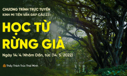 'Học từ rừng già' - câu 231 Kinh Mi Tiên Vấn Đáp | Thầy Thích Trúc Thái Minh