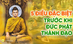5 sự kiện đặc biệt trước khi Đức Phật thành đạo