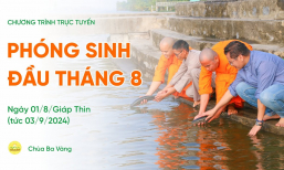 Phóng sinh đầu tháng 8 | Chùa Ba Vàng, ngày 01/8/Giáp Thìn