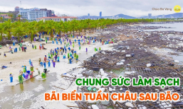 Chung sức làm sạch bãi biển Tuần Châu sau bão Yagi