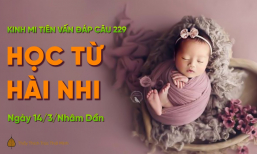 Học từ hài nhi | Kinh Mi Tiên Vấn Đáp câu 229 | Thầy Thích Trúc Thái Minh