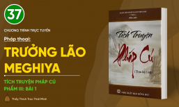 Pháp thoại: 'Trưởng lão Meghiya' | Tích truyện Pháp Cú (Phẩm III: Bài 1)