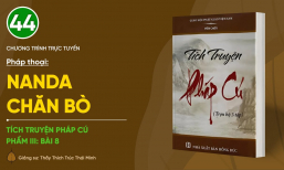 🔴 [TRỰC TIẾP] Pháp thoại: 'Nanda chăn bò' | Tích truyện Pháp Cú (Phẩm III: Bài 8)