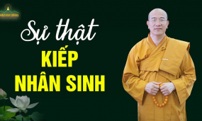 4 sự thật mà Đức Phật đã chứng nghiệm về kiếp nhân sinh