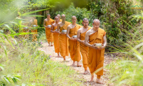 Tại rừng thiền nơi chư Tăng chùa Ba Vàng tu tập - Phật tử sớt bát cúng dường báo Tứ trọng ân