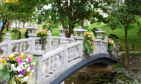 Chùm ảnh: Con đường hoa cúc trải dài trên non thiêng Thành Đẳng