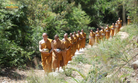 Những hình ảnh quý giá về sự tu tập trong rừng của chư Tăng chùa Ba Vàng