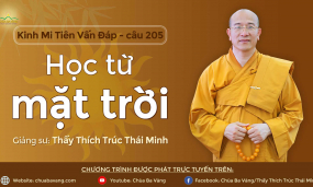 'Học từ mặt trời' - câu 205 Kinh Mi Tiên Vấn Đáp | Thầy Thích Trúc Thái Minh