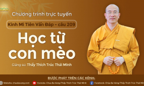 'Học từ con mèo' - câu 209 Kinh Mi Tiên Vấn Đáp | Thầy Thích Trúc Thái Minh