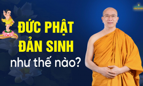 Đức Phật được sinh ra như thế nào? | Đức Phật Thích Ca Mâu Ni là ai?