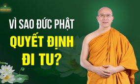 Vì sao Đức Phật quyết định xuất gia? | Đức Phật Thích Ca Mâu Ni là ai?