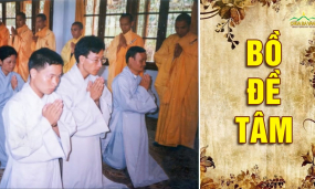 Bồ đề tâm là gì?