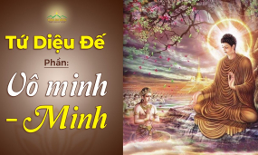 Tứ diệu đế - Bài Pháp đầu tiên của Đức Phật | Phần Vô minh - Minh