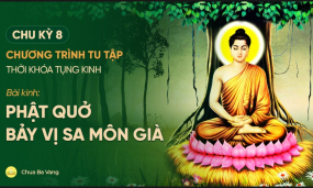 (Chu kỳ 8) Tụng kinh trong 'Chương trình tu tập theo 3 tháng an cư kiết hạ của chư Tăng'