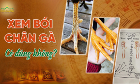 Xem chân gà đầu năm có đáng tin? Cách tự “xem bói” cho bản thân