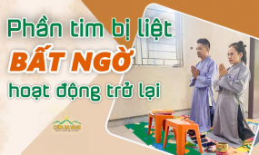 1/3 tim bị liệt trong 5 năm hoạt động trở lại chỉ sau 3 ngày 3 đêm
