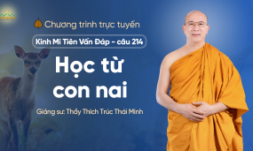 'Học từ con nai' - câu 214 Kinh Mi Tiên Vấn Đáp | Thầy Thích Trúc Thái Minh