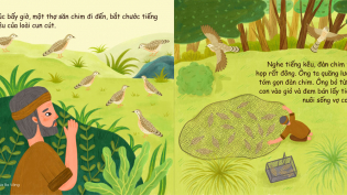 Truyện tranh: Sự hòa hợp của đàn chim cun cút