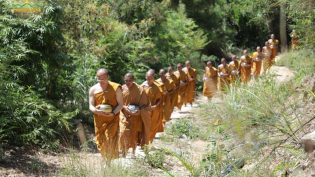 Những hình ảnh quý giá về sự tu tập trong rừng của chư Tăng chùa Ba Vàng